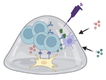 Biomaterials and microenvironment image