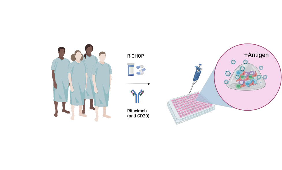 Translational research imaging