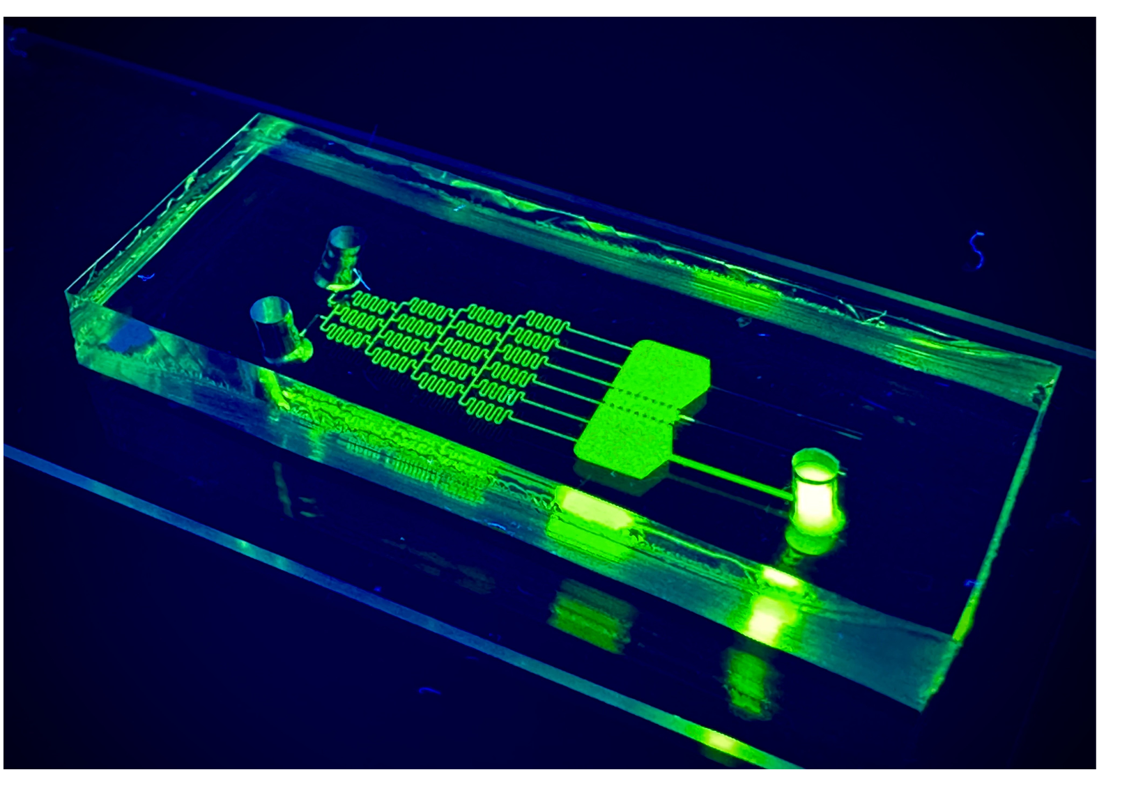 Organ-on-chip device with microfluidic channels